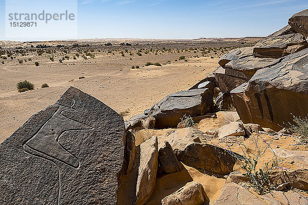 Prähistorische Felszeichnungen in der Nähe der Oase von Taghit  Westalgerien  Nordafrika  Afrika