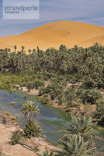 Blick über die Oase von Taghit  Westalgerien  Nordafrika  Afrika