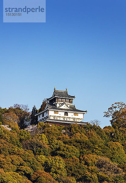 Schloss Iwakuni  Iwakuni  Präfektur Yamaguchi  Honshu  Japan  Asien