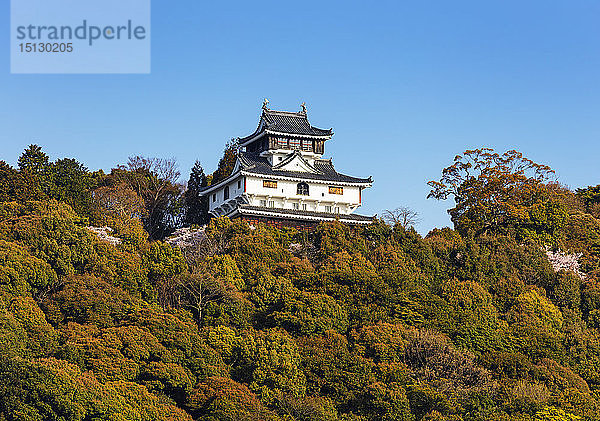 Schloss Iwakuni  Iwakuni  Präfektur Yamaguchi  Honshu  Japan  Asien