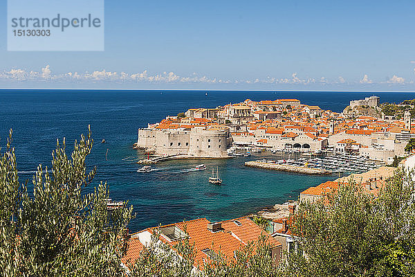 Altstadt  UNESCO-Weltkulturerbe  Dubrovnik  Kroatien  Europa