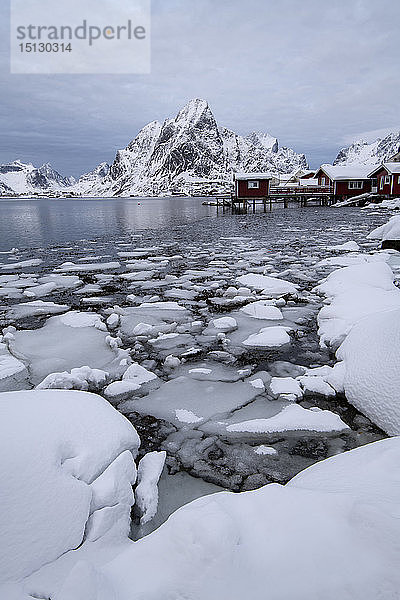 Traditionelle Häuser in Reine im Winter  Moskenes  auf den Lofoten  Arktis  Norwegen  Europa