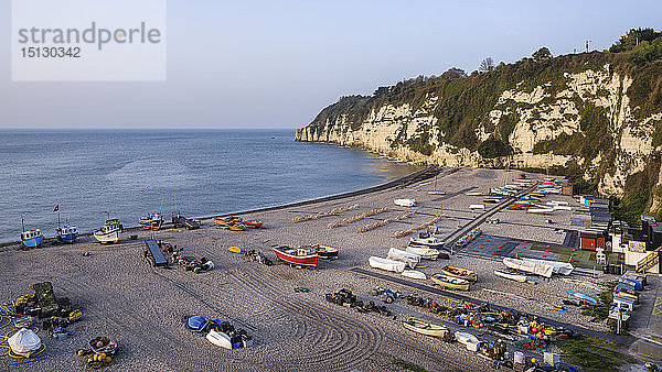Fischerboote und Liegestühle am beliebten Kieselstrand von Beer bei Seaton  Devon  England  Vereinigtes Königreich  Europa