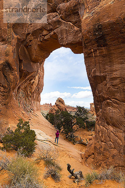 Arches National Park  Moab  Utah  Vereinigte Staaten von Amerika  Nordamerika