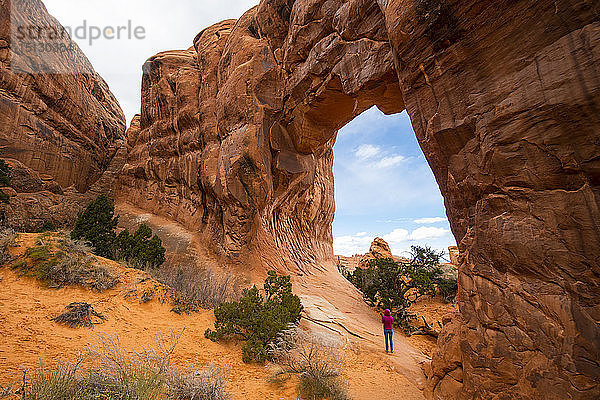 Arches National Park  Moab  Utah  Vereinigte Staaten von Amerika  Nordamerika