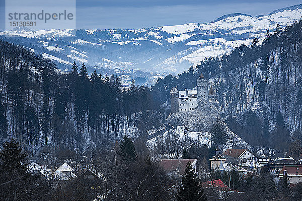 Schloss Bran verschneit im Winter  Siebenbürgen  Rumänien  Europa