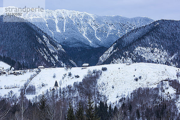 Karpaten verschneite Winterlandschaft  Pestera  Bran  Transsylvanien  Rumänien  Europa