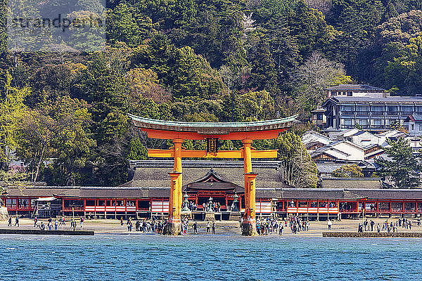 Schwimmendes Torii-Tor von Itsukushima Jinja  UNESCO-Weltkulturerbe  Insel Miyajima  Präfektur Hiroshima  Honshu  Japan  Asien