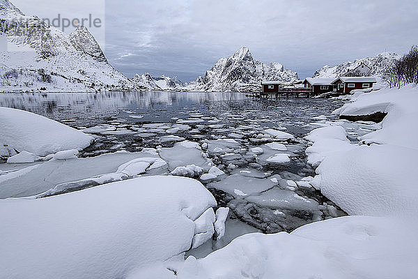 Traditionelle Häuser in Reine  Moskenes  auf den Lofoten im Winter  Arktis  Norwegen  Europa