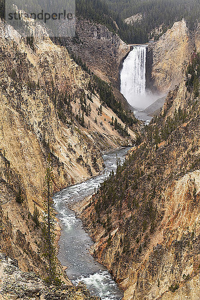 Yellowstone-Nationalpark  UNESCO-Welterbe  Wyoming  Vereinigte Staaten von Amerika  Nordamerika