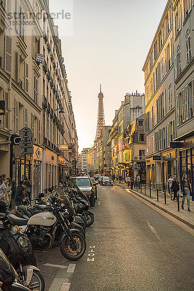 Gros-Caillou  Universitätsstraße mit Eiffelturm im Hintergrund  Paris  Frankreich  Europa