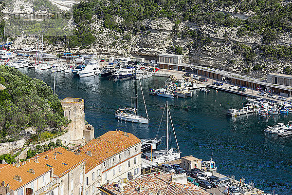 Boote im Yachthafen der südkorsischen Stadt Bonifacio  Korsika  Frankreich  Mittelmeer  Europa