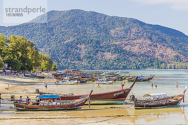 Langschwanzboote in Ko Lipe  im Tarutao National Marine Park  Thailand  Südostasien  Asien