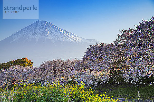 Berg Fuji  3776m  UNESCO-Welterbe  Präfektur Yamanashi  Honshu  Japan  Asien