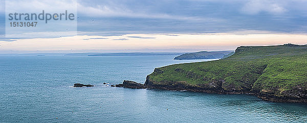 North Haven Landschaft bei Sonnenaufgang  Insel Skomer  Pembrokeshire Coast National Park  Wales  Vereinigtes Königreich  Europa