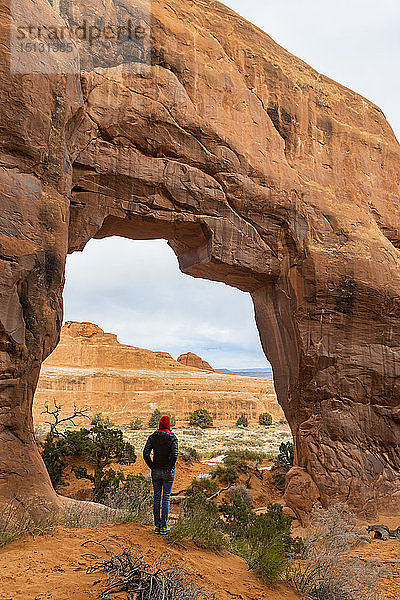 Arches National Park  Moab  Utah  Vereinigte Staaten von Amerika  Nordamerika
