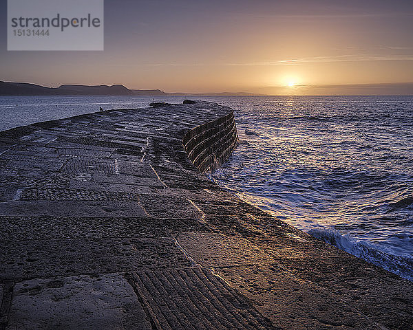 Die als The Cobb bekannte Hafenmauer erfreut sich großer Beliebtheit und sieht im Licht der Morgendämmerung besonders gut aus  Lyme Regis  Dorset  England  Vereinigtes Königreich  Europa