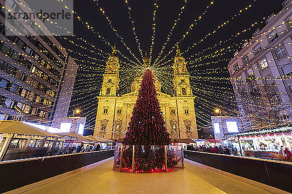 Weihnachtsbaum bei Nacht vor der St. Stephans Basilika in Budapest  Ungarn  Europa