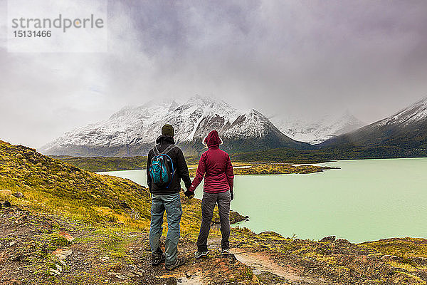 Genießen Sie die friedliche und schöne Landschaft des Torres del Paine Nationalparks  Patagonien  Chile  Südamerika