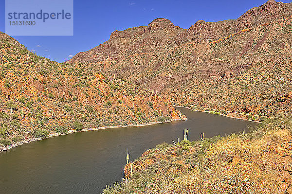 Der Salt River entlang der State Route 88  der ältesten Straße in Arizona  nördlich von Apache Junction  Arizona  Vereinigte Staaten von Amerika  Nordamerika