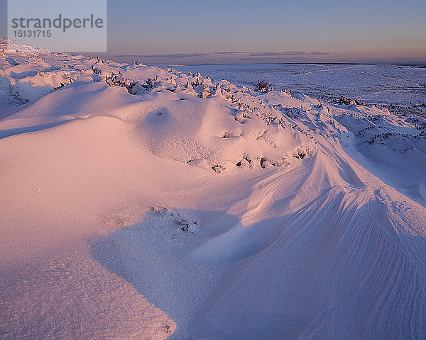 Schneewehe im frühen Sonnenlicht  Haytor  Bovey Tracey  Devon  England  Vereinigtes Königreich  Europa