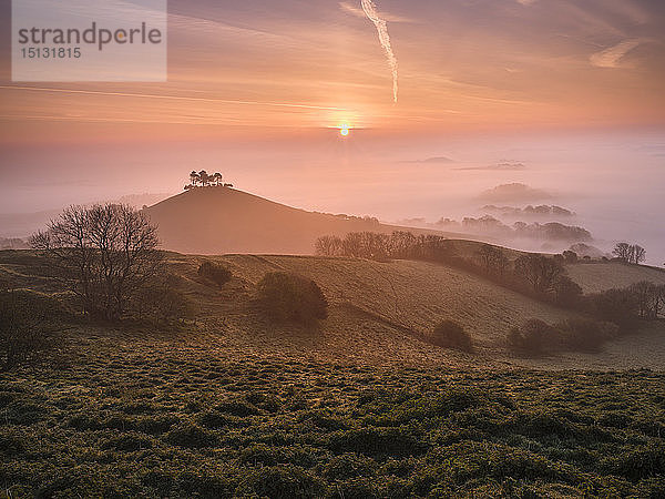 Nebliger Sonnenaufgang über dem markanten kiefernbestandenen Colmer's Hill bei Bridport  Dorset  England  Vereinigtes Königreich  Europa