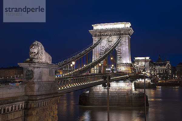Die Kettenbrücke in der blauen Stunde  Budapest  Ungarn  Europa