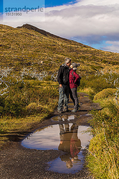 Genießen Sie die friedliche und schöne Landschaft des Torres del Paine Nationalparks  Patagonien  Chile  Südamerika