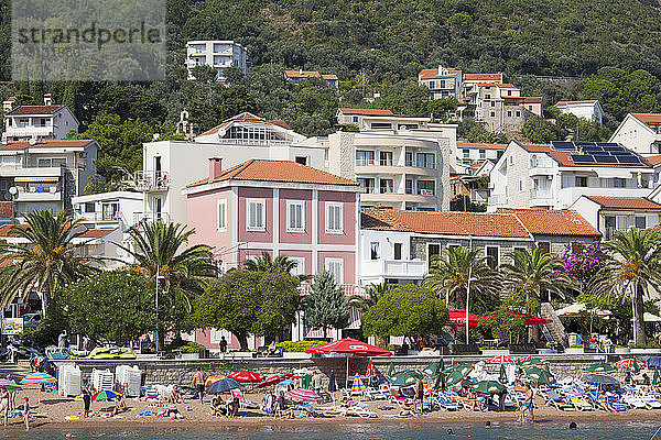 Blick auf den Stadtstrand und bunte Häuser mit Blick auf die palmengesäumte Strandpromenade  Petrovac  Budva  Montenegro  Europa