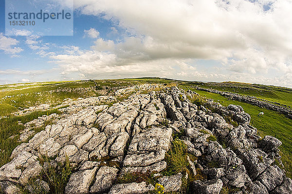 Kalksteinpflaster oberhalb von Malham  Yorkshire Dales  Yorkshire  England  Vereinigtes Königreich  Europa