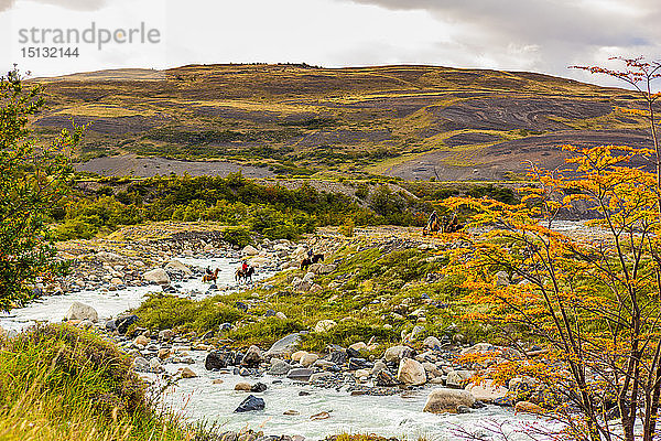 Wunderschöne Landschaft im Torres del Paine National Park  Patagonien  Chile  Südamerika