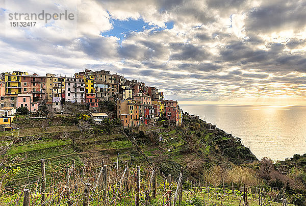 Bunte Häuser von Corniglia bei Sonnenuntergang  Cinque Terre  UNESCO-Weltkulturerbe  Ligurien  Italien  Europa