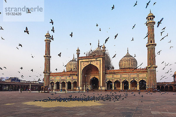 Früher Morgen in Jama Masjid  Alt-Delhi  Indien  Asien