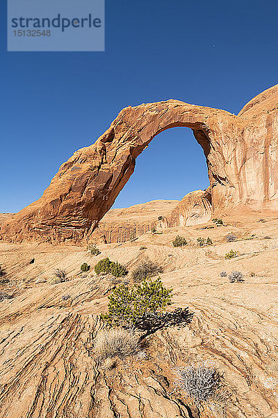 Corona Arch und Bootlegger Canyon  Moab  Utah  Vereinigte Staaten von Amerika  Nordamerika