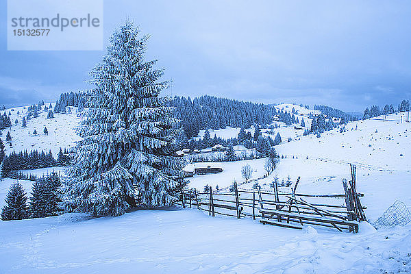 Winterlandschaft bei Bran in den Karpaten  Siebenbürgen  Rumänien  Europa