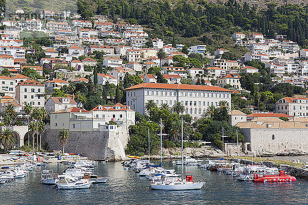 Blick über den Alten Hafen  Stara Luka  Häuser  die sich an steile Hänge klammern  Dubrovnik  Dubrovnik-Neretva  Dalmatien  Kroatien  Europa
