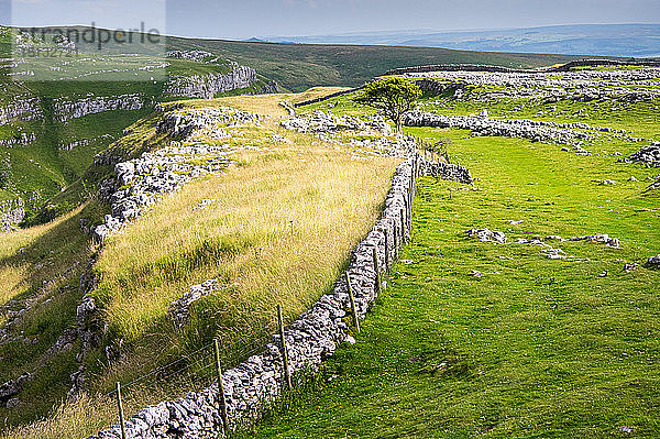 Oberhalb von Malham  Yorkshire Dales  Yorkshire  England  Vereinigtes Königreich  Europa