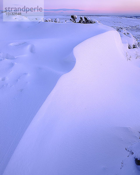 Schneewehe in der Dämmerung  Haytor  Bovey Tracey  Devon  England  Vereinigtes Königreich  Europa