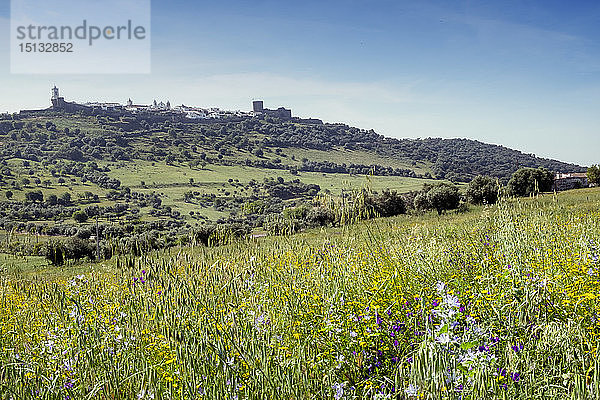 Dorf und Burg Monsaraz  Alentejo  Portugal  Europa