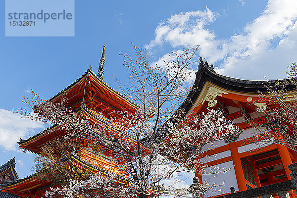 Kiyomizu-dera-Tempel  UNESCO-Weltkulturerbe  Kyoto  Japan  Asien