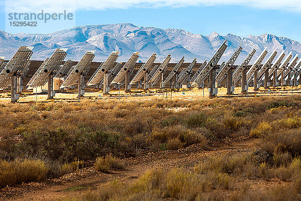 Reihen von Sonnenkollektoren in der Landschaft  Seitenansicht  Kapstadt  Westkap  Südafrika
