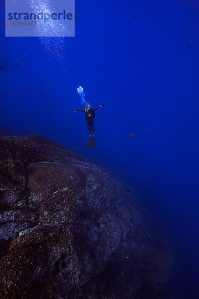 Freitauchen  Revillagigedo-Inseln  Socorro  Baja California  Mexiko