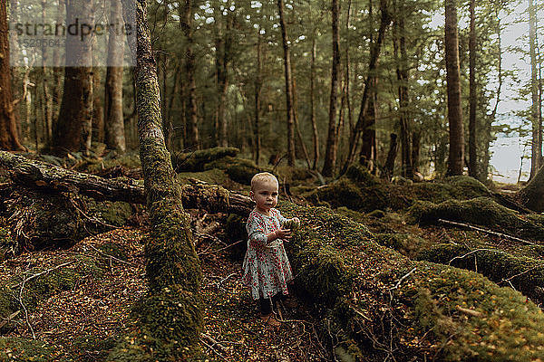 Kleines Mädchen erkundet Wald  Queenstown  Canterbury  Neuseeland