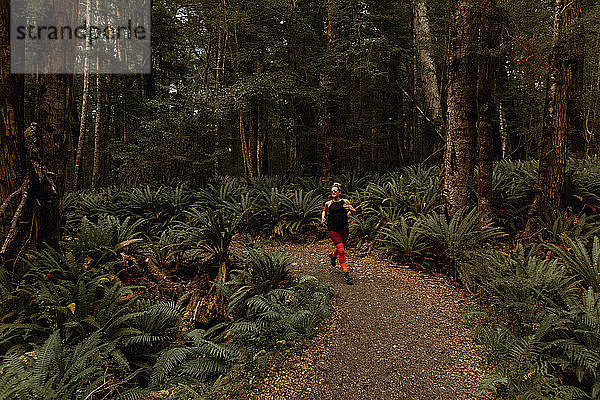 Frau joggt im Wald  Queenstown  Canterbury  Neuseeland
