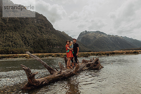 Eltern und Baby auf umgestürztem Baum im See  Queenstown  Canterbury  Neuseeland