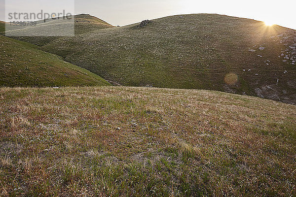 Graslandschaft  Berge im Hintergrund  Tehachapi  Kalifornien  Vereinigte Staaten
