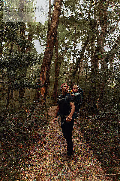 Wanderer mit Baby erkundet Wald  Queenstown  Canterbury  Neuseeland