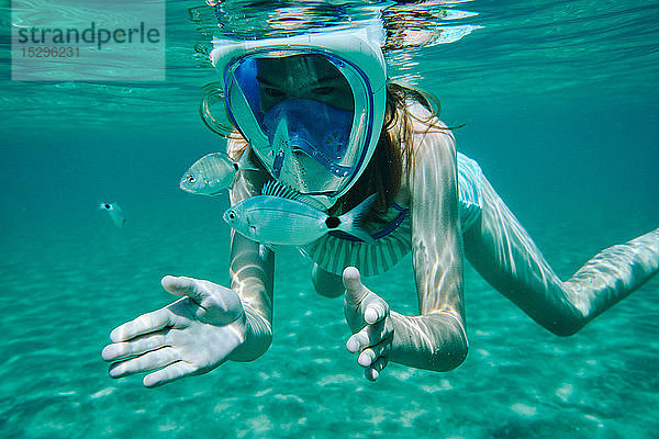 Unterwasseransicht eines schnorchelnden Mädchens  das Fische betrachtet  Limnos  Khios  Griechenland