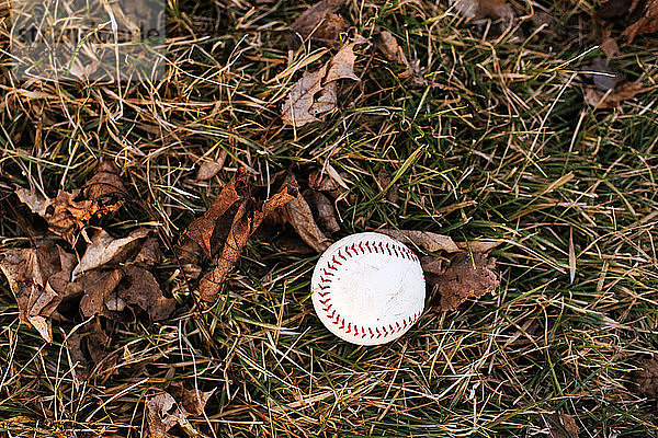Baseballball auf feuchtem Gras mit Herbstlaub  Draufsicht