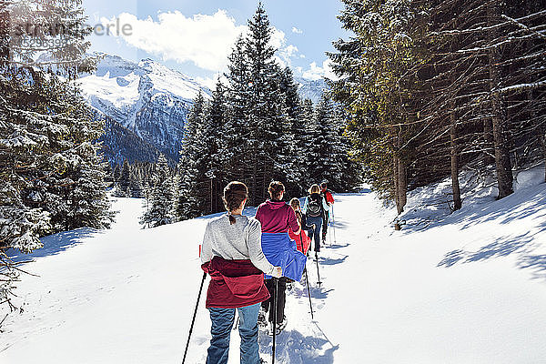 Reifes Paar und Töchter beim Schneeschuhwandern in schneebedeckter Berglandschaft  Rückansicht  Steiermark  Tirol  Österreich